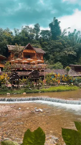 Bản Cát Cát #sapa #vietnam #bản_cát_cát_sapa #bìnhyên #xuhuong #travelvietnam 