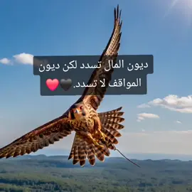 #عباراتكم_الفخمه📿📌 #شيلات_حماسيه 