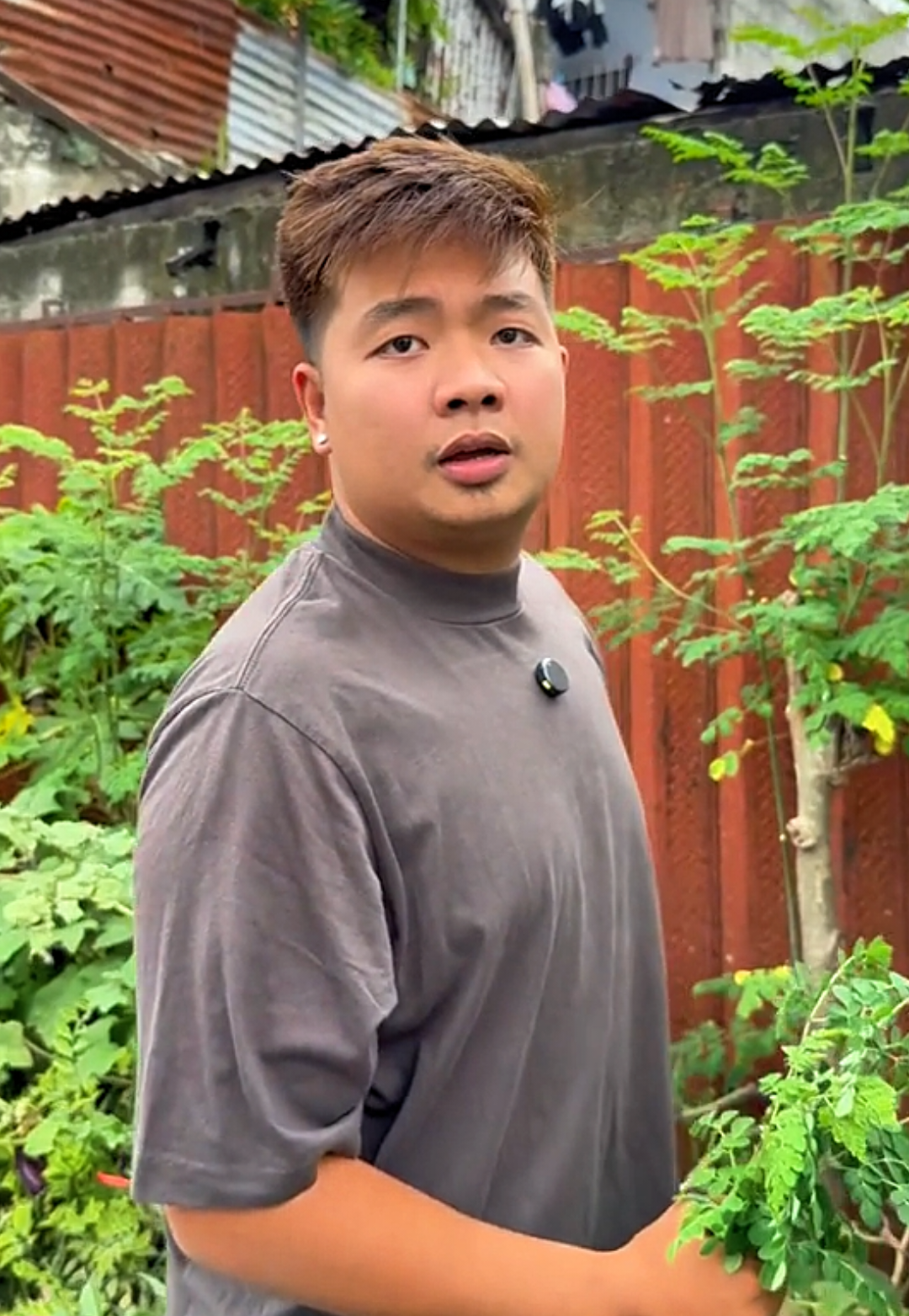 Nasan ka nung tinanim ko ang Malunggay? #fyp #malupiton #malupitonofficial #pinoy #ofw 