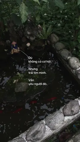 …#tamtrang #story 