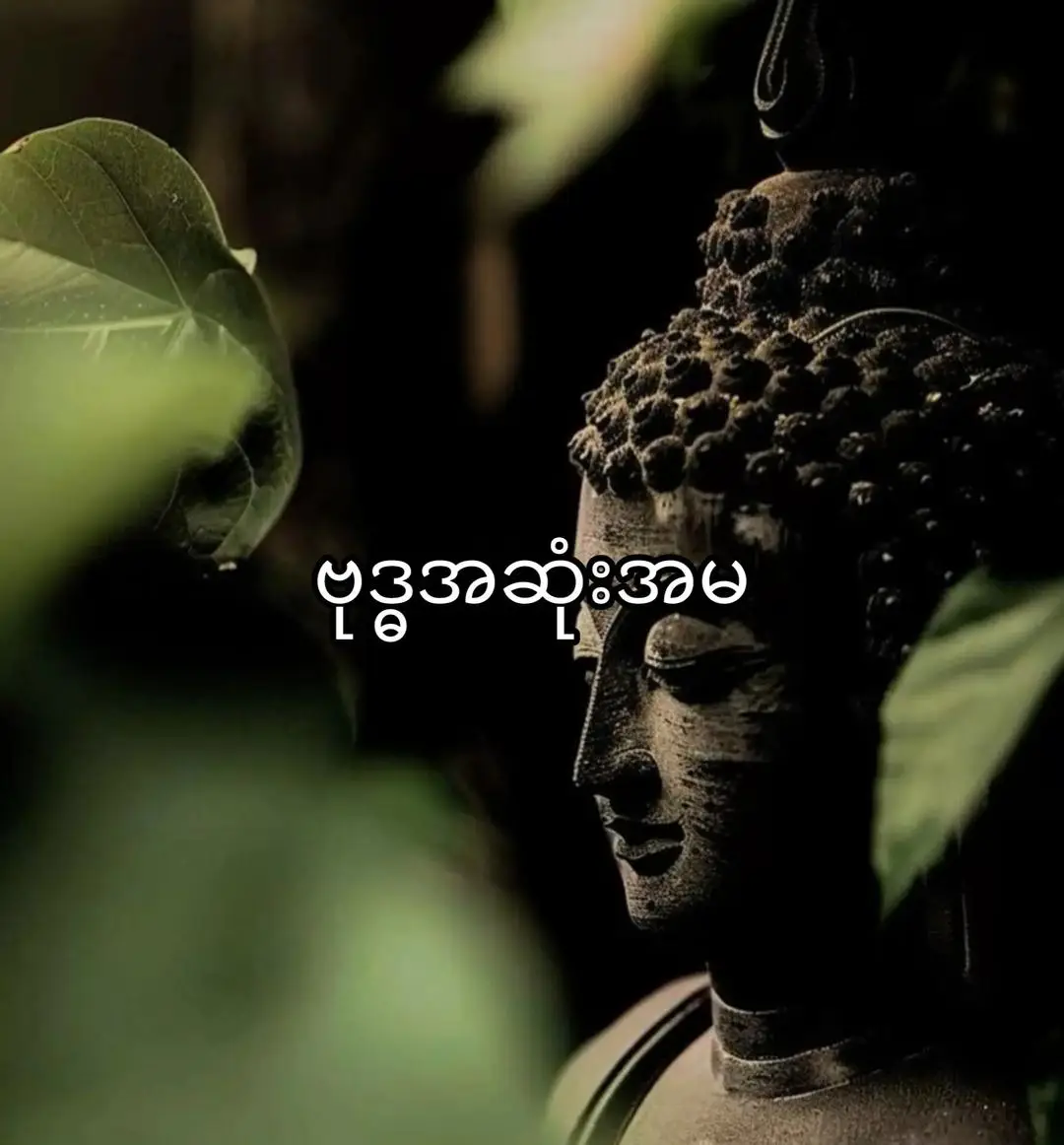 #ဗုဒ္ဓအဆုံးအမ #ဗုဒ္ဓဘာသာ #ဗုဒ္ဓဘာသာအမွေထွန်းလင်းနိုင်ပါစေ🙏🙏🙏 #ဘယ်တော့မှရောက်မာလဲfypပေါ်က😣😒 #ဒီတစ်ပုဒ်တော့fypပေါ်ရောက်ချင်တယ် #မူရင်းvdတွေကိုcrdပေးပါတယ်🥰 