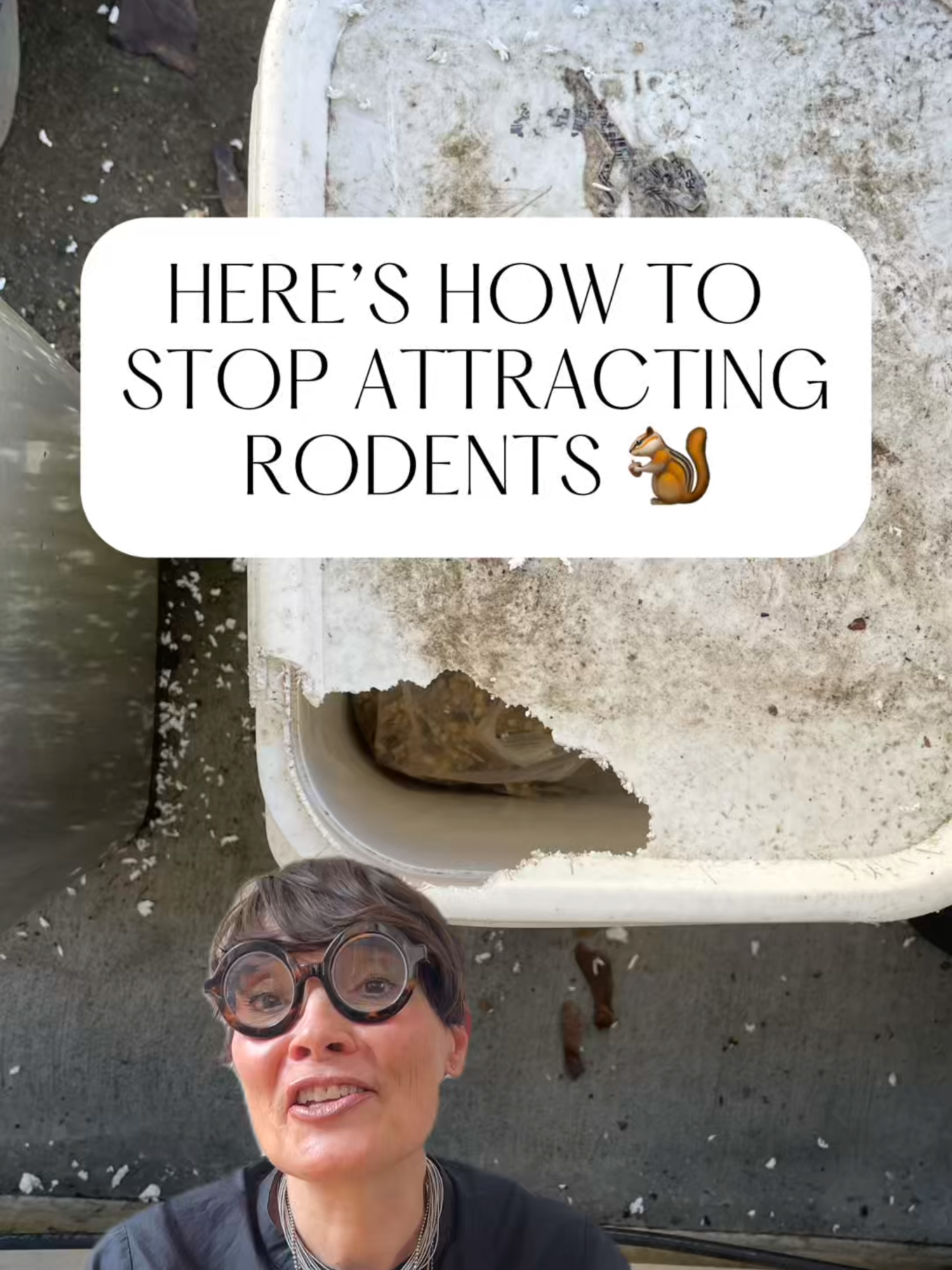Here's how you can stop attracting #rodents in your shed!🐁🐿  #rodentcontrol #birdseed #homehygiene