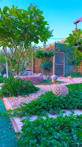 #غزال #تصميم_فيديوهات🎶🎤🎬 #مصمم_فيديوهات🎬🎵 #اكسبور_erolpxe #viralvideo #humor #kesfet 