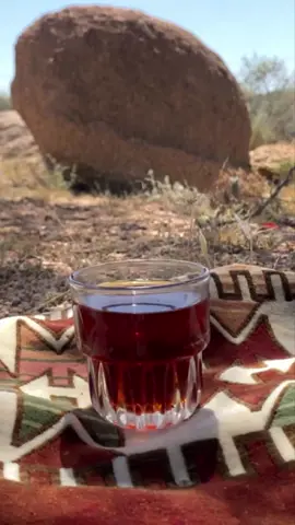 #مهنا_العتيبي  #عين_الغزال😌👊 