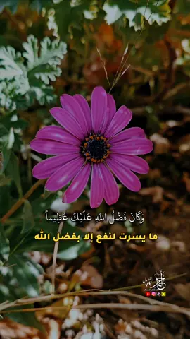 وكان فضل الله عليك عظيما #عبارات #صباح_الخير #اقتباسات #العرب #بصوتي #احمد_الفضول #ahmad_alfdoul #حالات_واتس #قصايد #اسلاميات #نصائح #رسالة #حكم #دعاء #alhamdulileh 