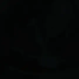 ib: @syndrvme #tonysoprano #thesopranos #aestheticedit #fyp 