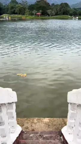 @paumirahq ... #joke #komedikocak 