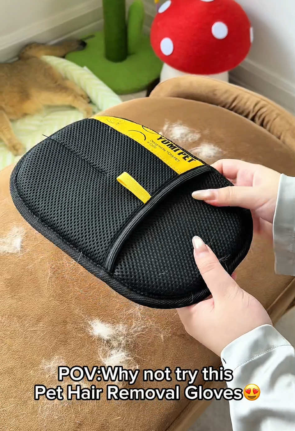Why not try this Pet Hair Removal Gloves😍#pethairremoval #pethairremover #pethair #petproducts #PetsOfTikTok #fyp 