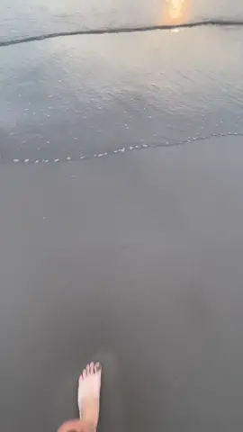 L💗 @🕊️Bồ câu đưa thư #xuhuong #viral #fyp #L #fyp 