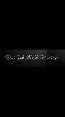 #صدقه_جاريه_لي_♡ #اجر_لي_ولكم #القران_الكريم #اكسبلور #خالدالجليل #😭😭😭😭😭😭💔💔💔💔 #CapCut 