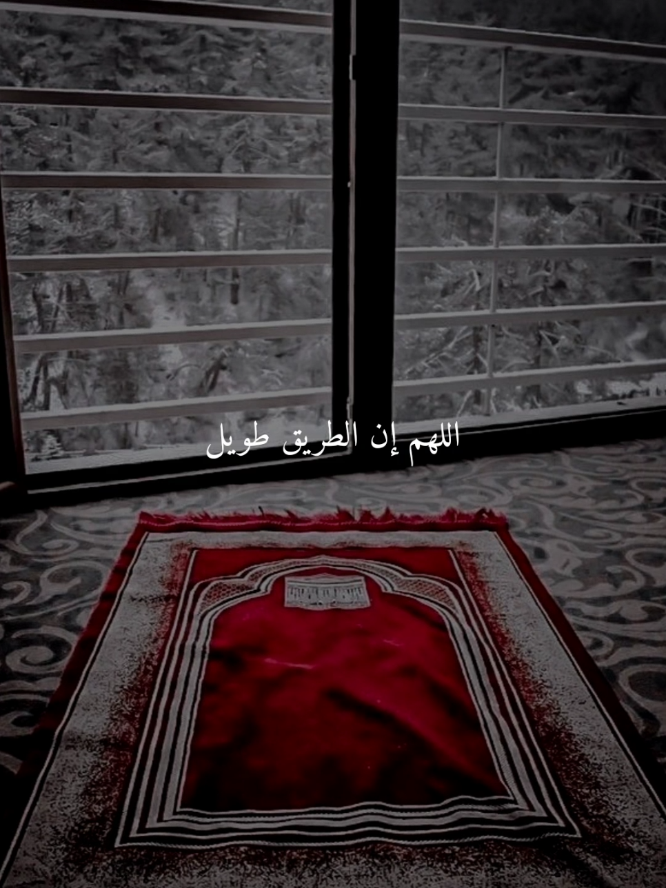 وليس معي الا نفسي..🤎 #اللهم_امين #ادعيه #ادعية_اسلامية_تريح_القلب #ادعيه_تريح_القلب #اكسبلور #foryou #fyp 