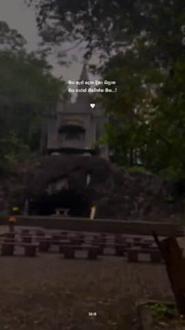 මං හරි වාසනාවන්තයි ඔයා වගේ කෙනෙක්ගෙන් ආදරයක් ලබන්න තරම්🤍#fyppppppppppppppppppppppp #fypシ゚viral #sajja_quotes #sajja_quotes #statusvedio #whatsappstatus #wadansinhala #quotes #sinhalaquotes @user8135385102726 ❤️‍🩹@Malith Sanjaya 