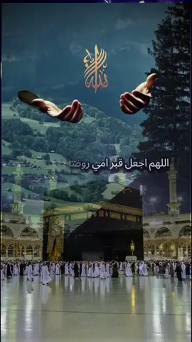 #shafiullahmomand677 @ABDO 