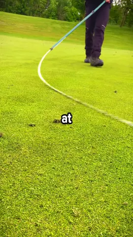 FULL VIDEO ON YOUTUBE At Sunday Brunch, My Kids Mentioned 'Our' Disney Trip, Only To Find Out They'd Already Gone. Sister Mocked: 'Don't Make A Big Deal Out Of It-Maybe Next Time.' Mom Hissed: 'Oh, We Forgot About You-Deal With It.' Dad Added: 'We Finally Had A Perfect Family Photo-Without The Embarrassment.' When I Saw Their Social Media Posts From My Funded Trip, I Did Something They Weren't Expecting... #reddit #redditreadings #stories