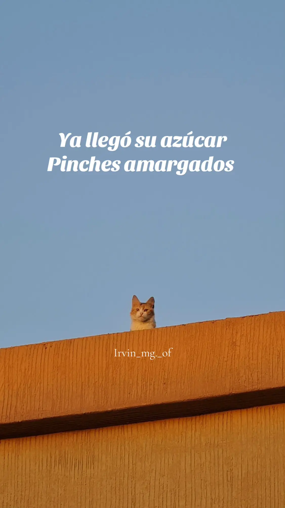 #paratiiiiiiiiiiiiiiiiiiiiiiiiiiiiiii #fyp 