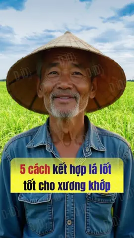 4 cách kết hợp lá lốt tốt cho xương khớp #bacsygiadinh #suckhoexuongkhop #xuongkhop #meohaymoingay #viral #xuhuong #caobachthao #bacsyxuongkhop #bacsygiadinh #meohaycuocsong #gout #gut