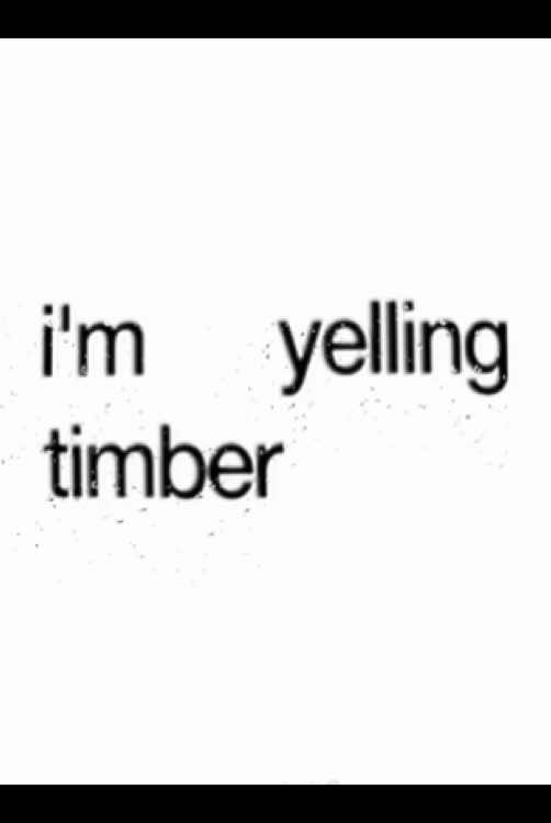Timber #timber #pitbull #lyric #kesha #Lyrics #lyricsedit #fyp 