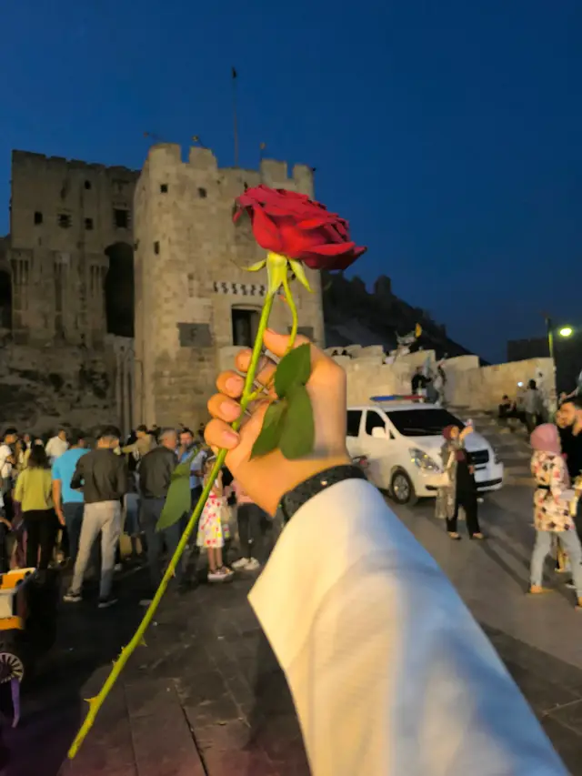سـوريـا🇸🇾- حلب القلعة تصويري🥹🌷#سعود_الفضلي #الرياض #دمشق #السعودية #سوريا 