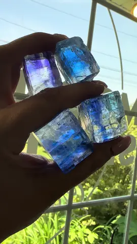 I am OBSESSED with this new Blue Halite from Turkey. So many beautiful pieces. I want to keep them all! #crystals #bluehalite #rarecrystals #littleshoppeofcrystals #crystalshop #crystaltok #crystalhealing #crystalsoftiktok 