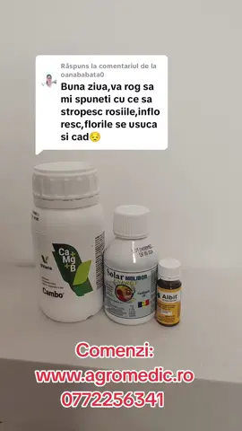 Ca răspuns pentru @oanababata0 