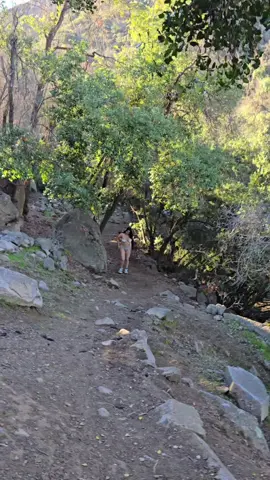 un muy buena caminata🤭