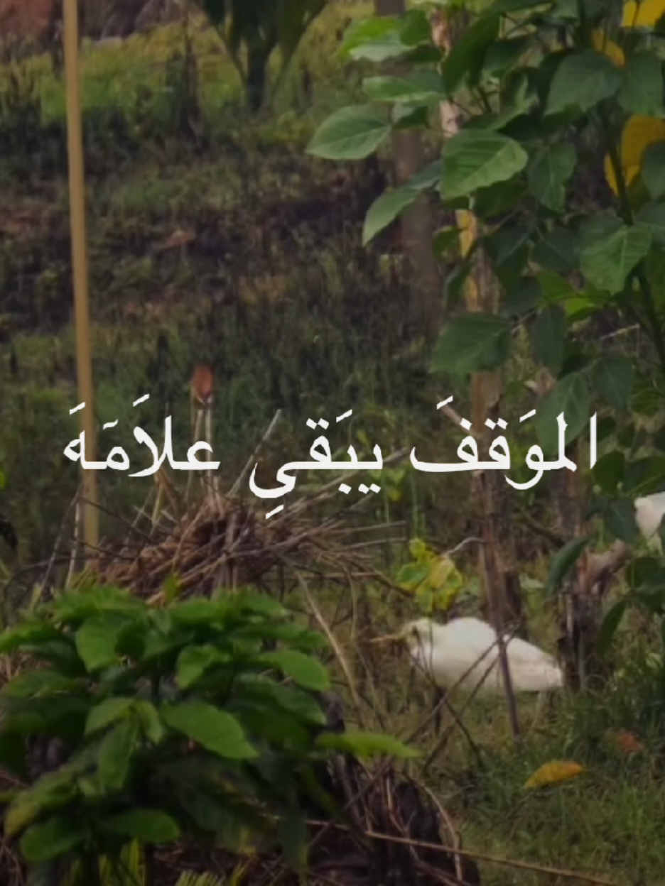 الانسان كله يروح #الشيخ_احمد_الوائلي  #اكسبلورexplore 