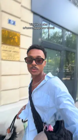 Faut bien qu’il me rembourse les croquettes et le loyer enft ! #cockeranglais #cocker #chien 