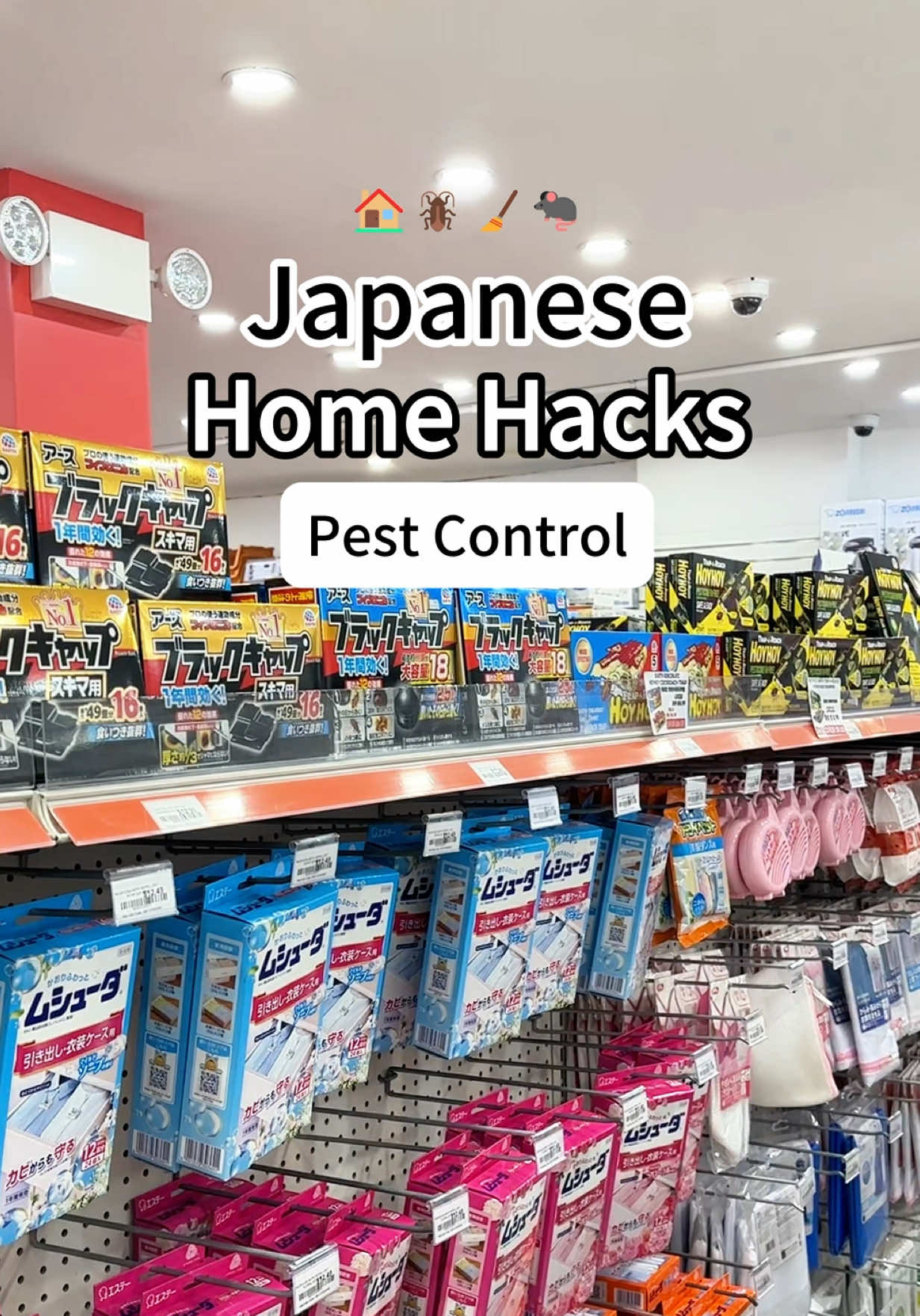 Say goodbye to unwanted guests🚫 Keep your home pest-free with these easy-to-use traps! 🏡✨ Also, don't forget to check out our June TESO Awards. 10% off on featured items all month long #homehacks #pestcontrol #cleanhome #tesolife #productrecommendations #productsyouneed #pestfree #fypage 