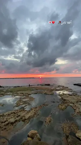 #amr_diab #fypシ゚viral #fyppppppppppppppppppppppp #foryou 