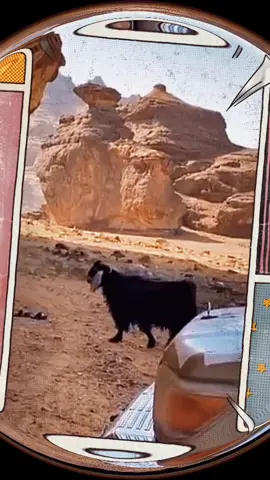 😴🐏#فيديوهات_مضحكه #مقاطع_ضحك #مقاطع_مضحكة #مقاطع_مضحكهة_لايفوتك  #ضحك #dnaz #explorer # #funny #foryou #fypage #funnyvideoscomedy #funnymoments #funnypets #funnytiktok 