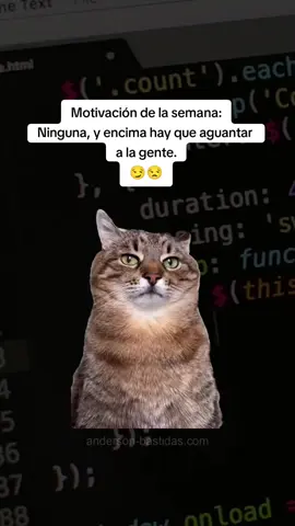 #Meme #andercode #developer #programacion #python #novia #humor #esposa 