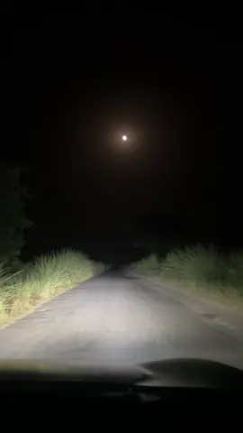 #punjabi #fyp #foryou #viral #trending #foryoupage #night #nightdrive 