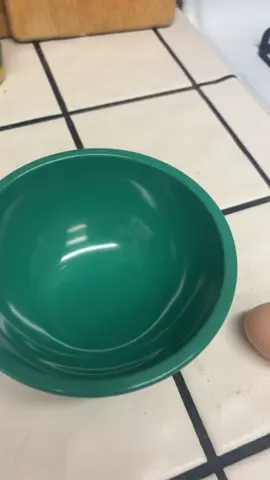 Weird egg day for our chickens #chickenlady #homestead #fyp