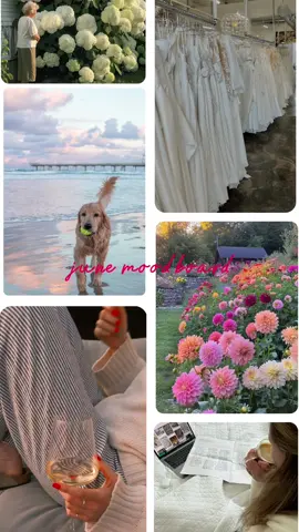channeling all the good vibes for june ✨✨ #june #junemoodboard #tsitp #tsitpseason2 #Summer #aesthetic #girlytok #CapCut #microinfluencer #nashvilleinfluencer 