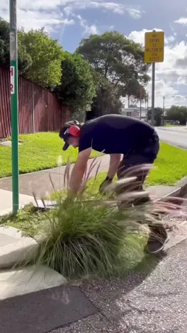 Ultimate Cleaning & Lawn Care ASMR – So Satisfying You’ll Want to Clean! #uncloggingdrains #cuttinggrass #cleaninghouse #satisfying #asmrsleep #asmrsleeprelax #cleaninggarden #camping #tips #cleaningsatisfying #homecleaning #housecleaning #satisfyingcleaning #cleaningasmr #lawncare #lawnmowing #lawnmower #ConSantanderConecto 