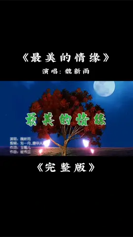 《最美的情缘》 演唱：魏新雨 魏新雨的《最美的情缘》完整版，听一次就心醉的歌  