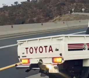 #الشاص #تفتفه#2000 #شاصات #