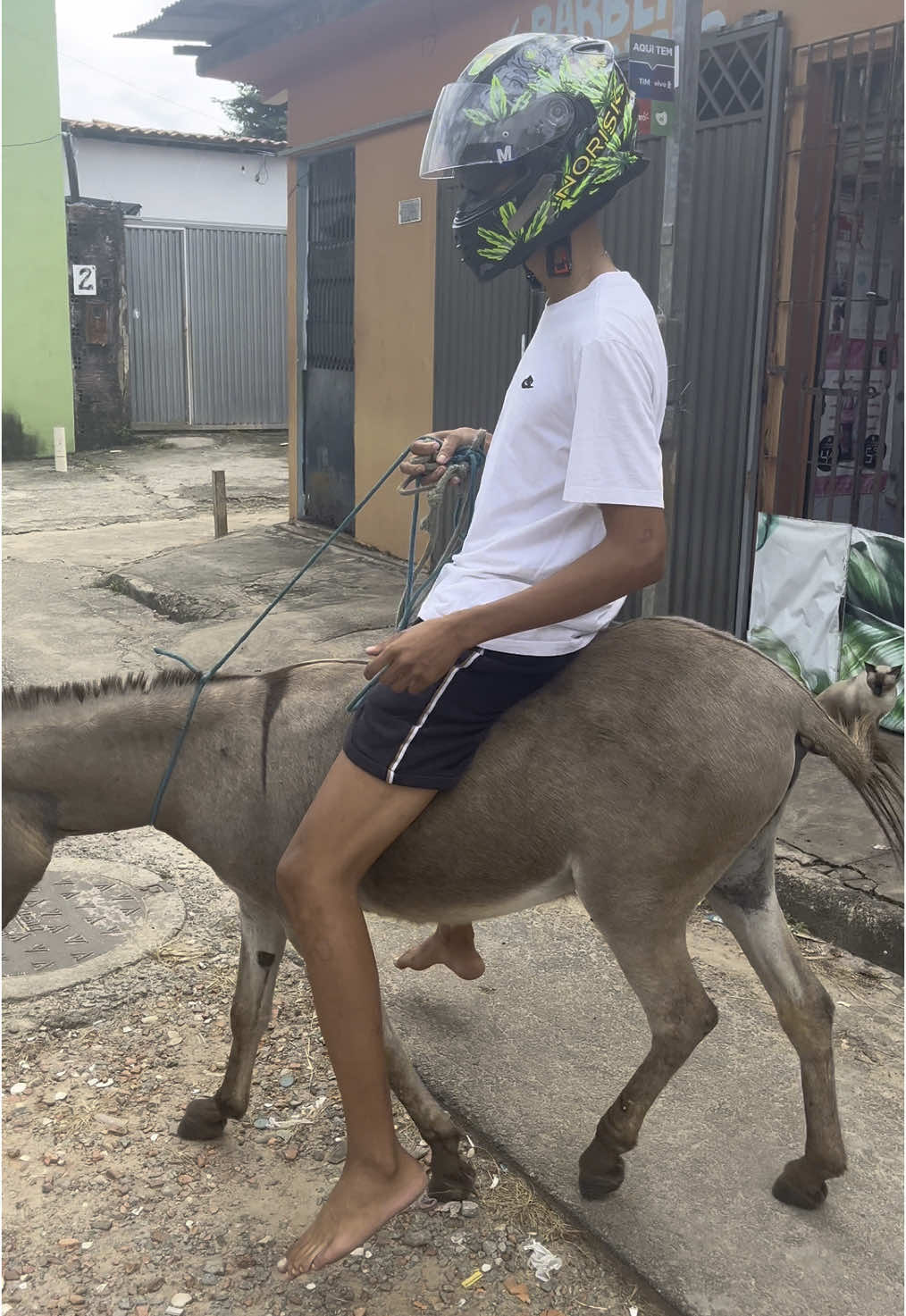 😎 #conquista #ninoabravanel 