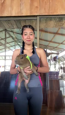 Ayyyy cositaaaa #fyp #capibaralove #foryoupage #paratiiiiiiiiiiiiiiiiiiiiiiiiiiiiiii #paratiiiiiiiiiiiiiiiiiiiiiiiiiiiiiii #fyp #foryoupage #fyp #xyzabc #foryoupage #tortuga #trends #tia 