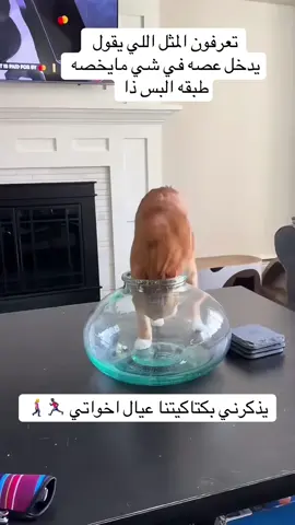 #fypシ゚viral #viral #viralvideo #viraltiktok #fypシ゚viral #fypage #virall 
