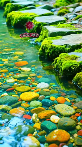 #وجزاهم_بما_صبروا_جنة_وحريراً #عبدالله_الموسئ #ايات_قرانيه_تريح_القلب #قران_كريم_ارح_سمعك_وقلبك♡ #تلاوات_خاشعة #تلاوات_قرآنية #تلاوات_نادره #مناظر_طبيعية #الطبيعه_اجمل_شي_للراحه_النفسيه #الطبيعه_الخلابه #مناظر_ساحرة #احمد_النفيس #بدر_التركي #ياسر_الدوسري #خالد_الجليل #عبدالعزيز_سحيم #عبدالبديع_غيلان #عبدالعزيز_الفقيه #السعوديه #السعوديه_الرياض_حايل_جده_القصيم_بريده #اليمن #اليمن_صنعاء_تعز_اب_ذمار_عدن_وطن_واحد #الشعب_الصيني_ماله_حل😂😂 