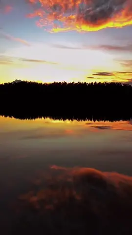 Hay personas que tienen todo para ser felices y no lo son… #felicidad #vida #serfeliz #pensamientos #reflexiones #reflexionesdelavida 