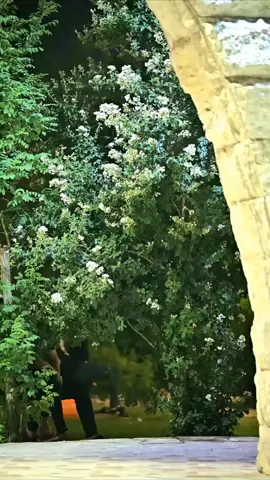 #لايك #اعاده_نشر🔁 #اخوتي_kardeşlerim #💔🥀 #الهمه_الهمه_لابارك_الله_بالضعف 