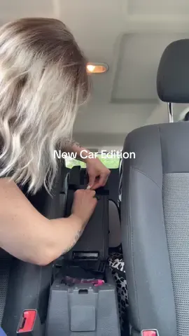 Whyyy not 🤪 #carorganization #carfinds #organizewithme #fyp #caraccessories 