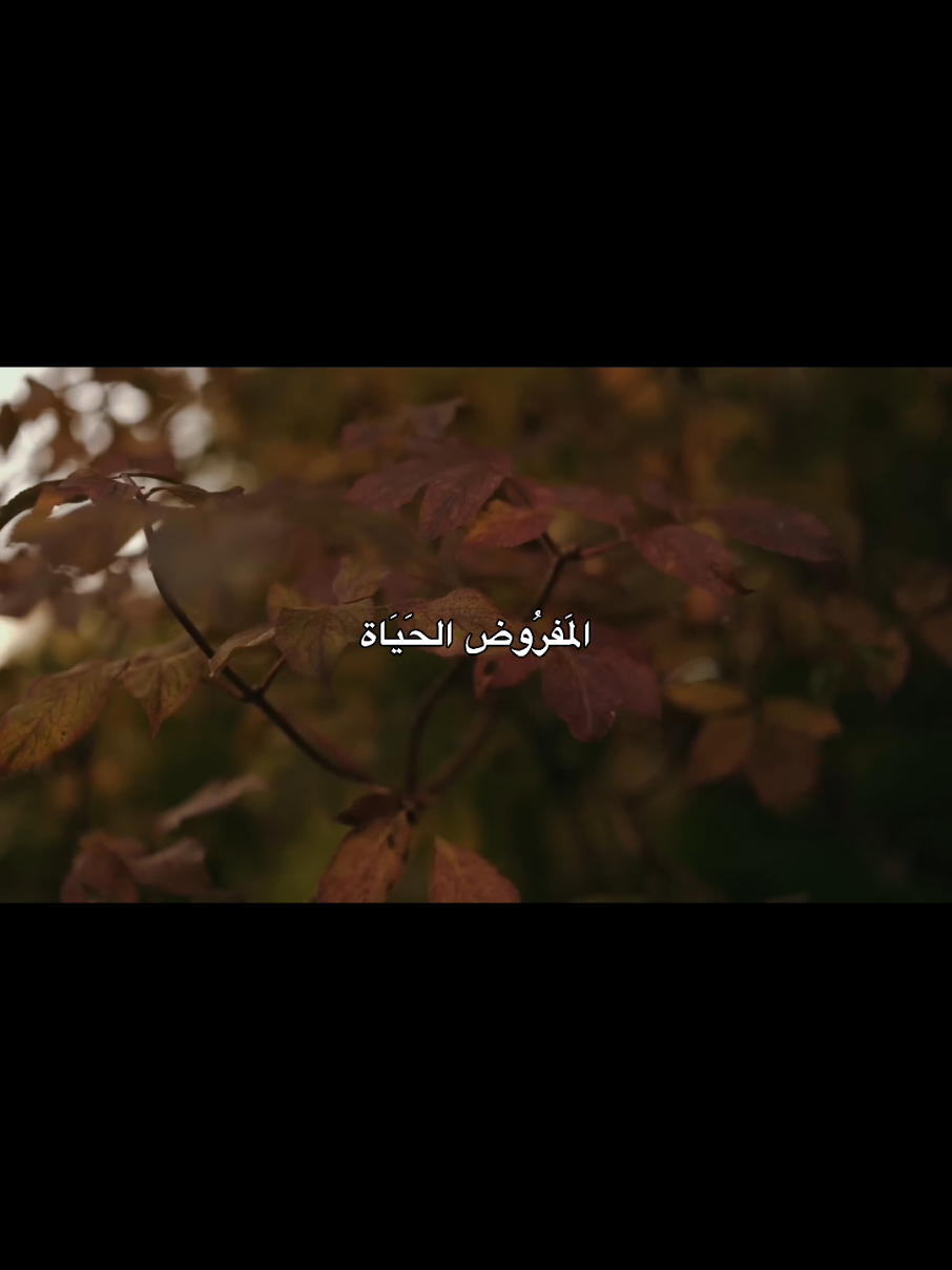 الحياة مو بس اكل وشرب #follow #tiktok #اكسبلور #لايك #الشيخ_احمد_الوائلي_رحمه_الله #capcut 