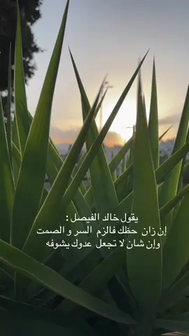 #ابها 