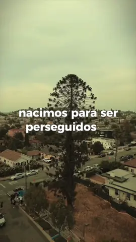 Nacimos para ser perseguidos #sangreporsangre #latino #vstrump #CapCut 