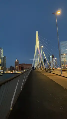 روتردام الجميلة 🥹📍🇳🇱  Rotterdam 🤍 #هولندا #holland #amsterdam #روتردام #امستردام #fyp #rotterdam #explore #pov 
