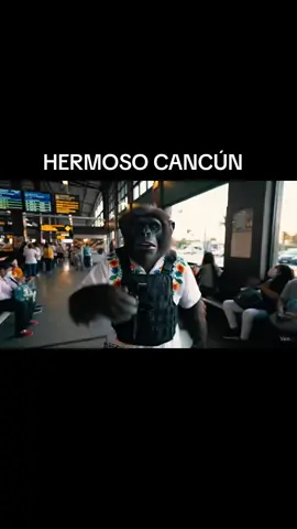 Cancún es hermoso #cancunmexico #cancun #yucatan #monoaraña #pelana #entretenimiento #pasareltiempo #ia #videosderisa #videoia #mexico #taxi 