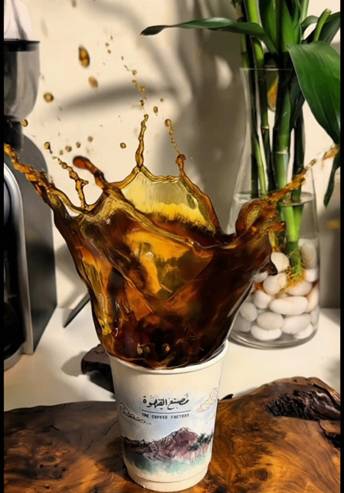 المحصول الرهيب من @محمصة مصنع القهوة   #v60 #your_coffee #your_coffee #fypシ゚ #explore 